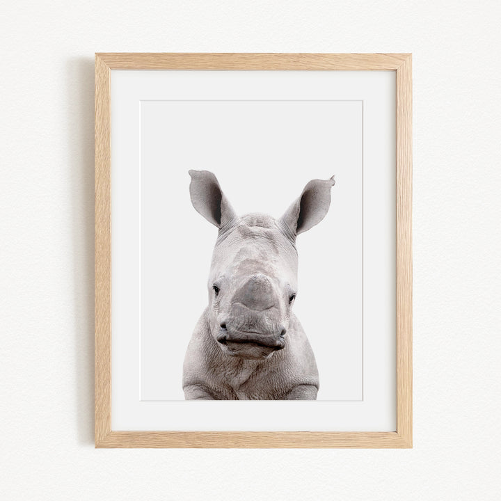A framed photograph of a rhinoceros, with its distinctive horn-like structures visible.