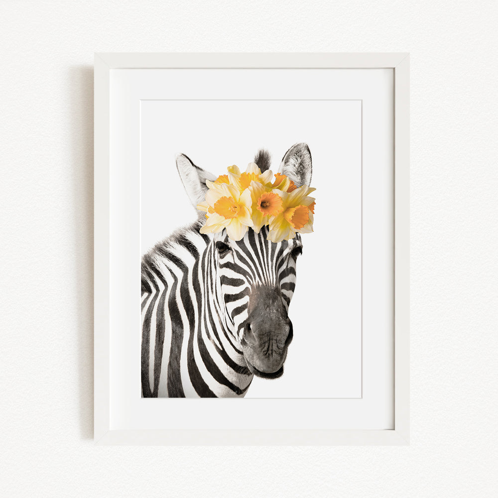 A zebra wearing a yellow flower crown on its head, with its distinctive black and white stripes and nose prominently displayed.