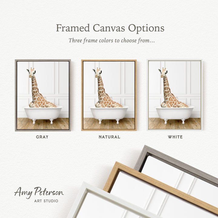 three framed canvas options featuring a giraffe sitting in a bathtub, each with a different frame color: gray, natural, and white.
