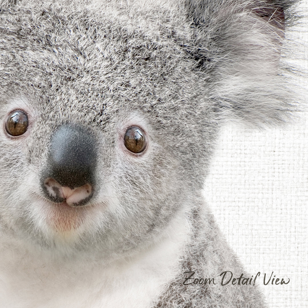 A close-up of a koala's face, with its distinctive features such as large eyes, a small nose, and a fluffy gray fur visible.