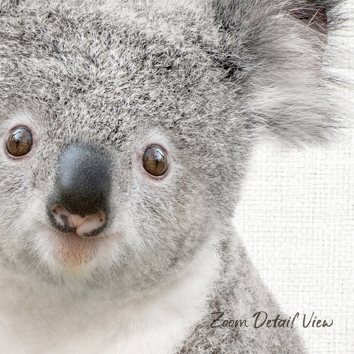 A close-up of a koala's face, with its distinctive features such as large eyes, a small nose, and a fluffy gray fur visible.
