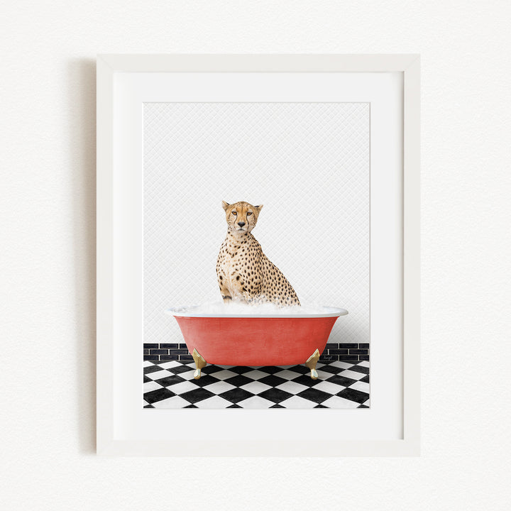 A cheetah sitting in a red bathtub filled with water, surrounded by a black and white checkered floor.