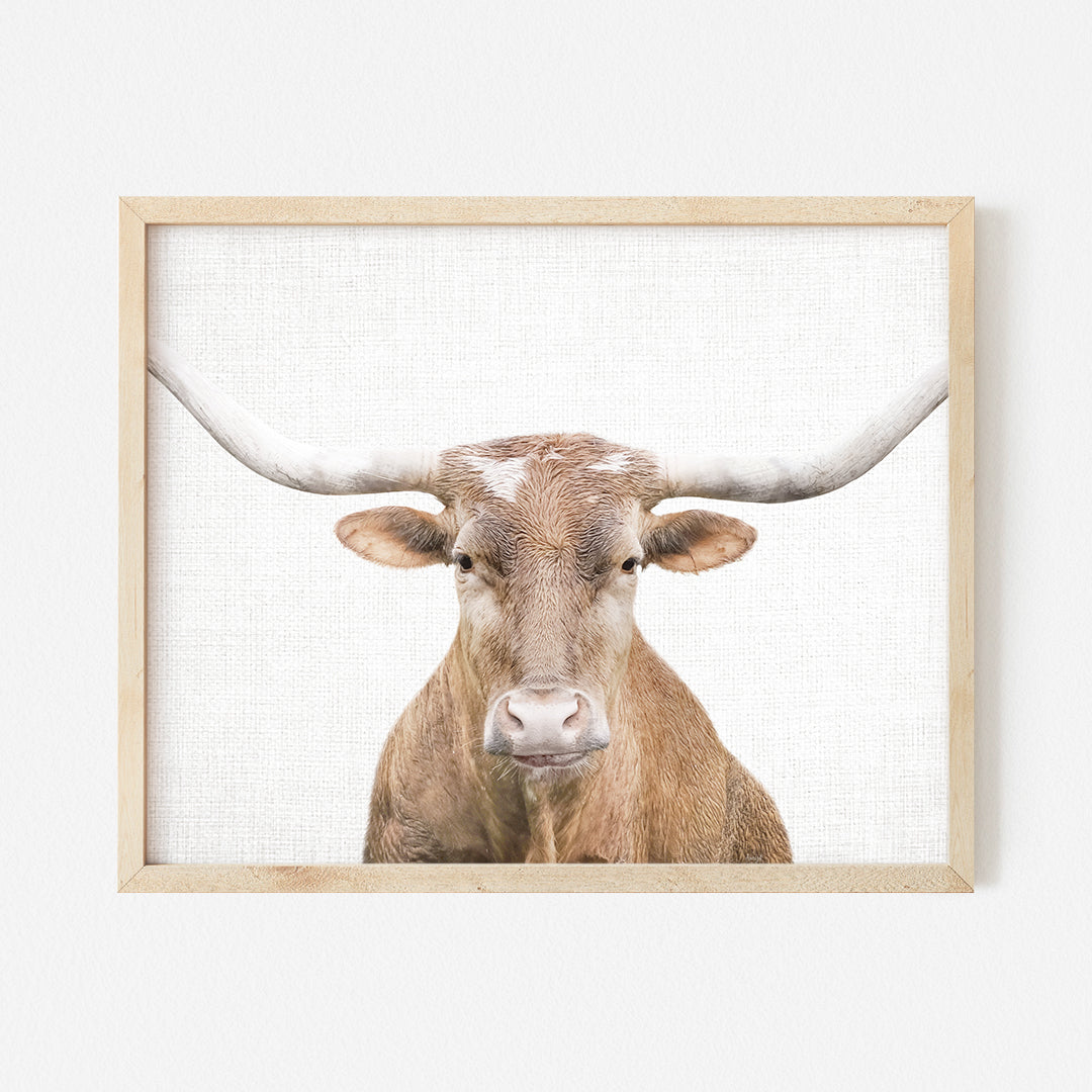 a picture of a brown cow with long horns