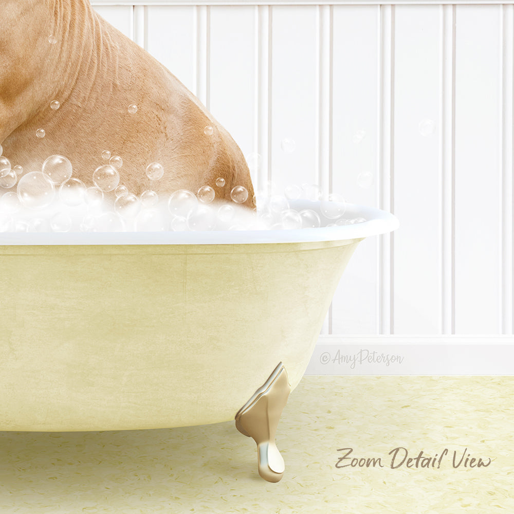 A dog is sitting in a bathtub filled with bubbles, enjoying a relaxing bath.