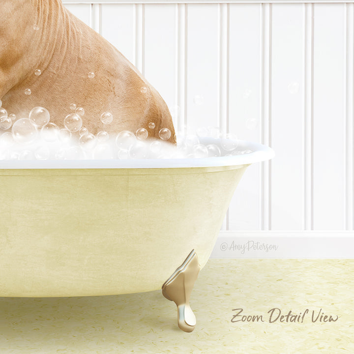 A dog is sitting in a bathtub filled with bubbles, enjoying a relaxing bath.