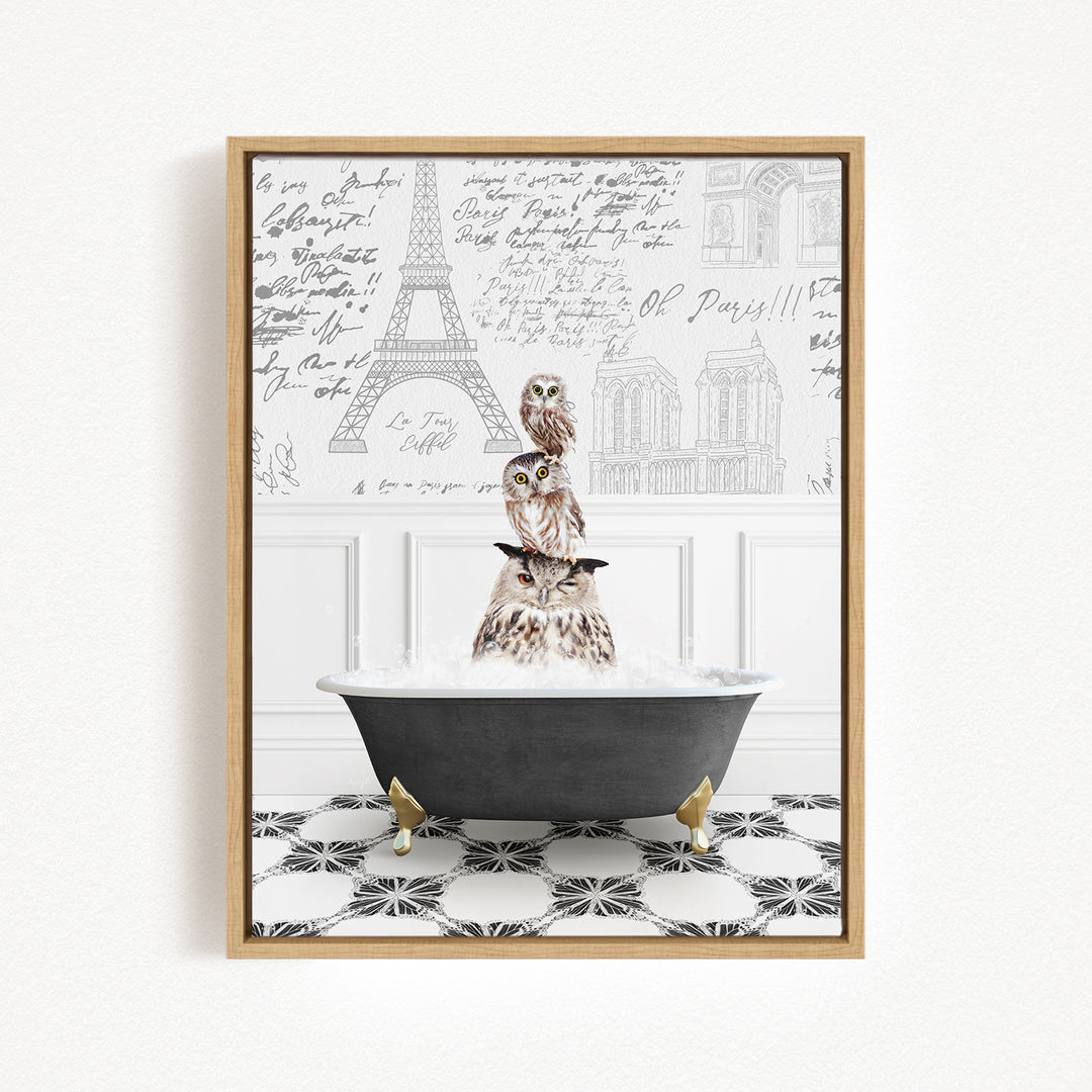 A framed image depicting three owls sitting in a bathtub filled with water, with the Eiffel Tower and other Parisian landmarks visible in the background.