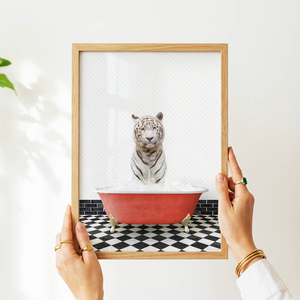 A person's hands are holding a framed picture of a white tiger sitting in a red bathtub filled with water, with a black and white checkered floor in the background.