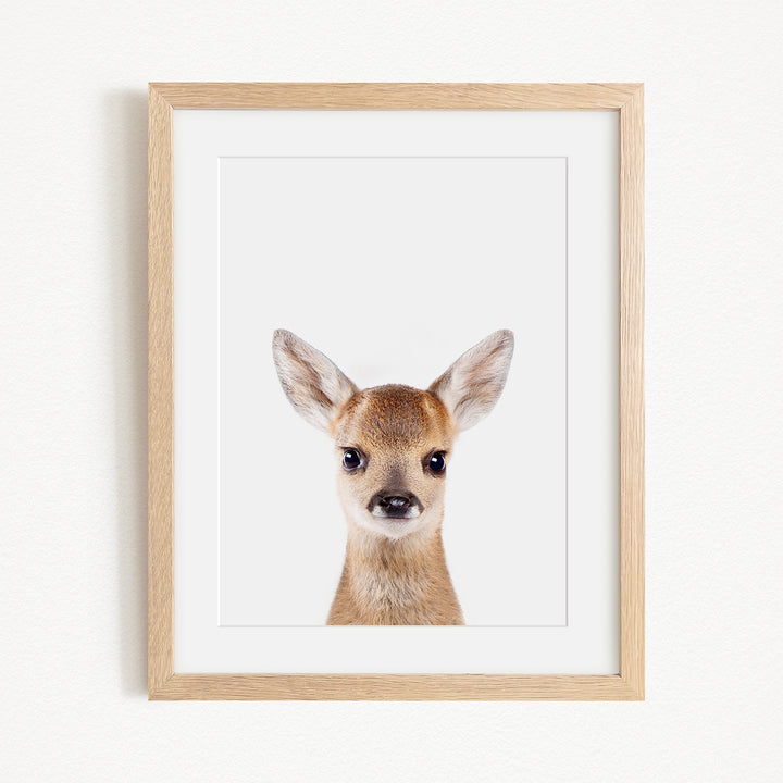 A framed print of a deer's head with large ears, looking directly at the camera.