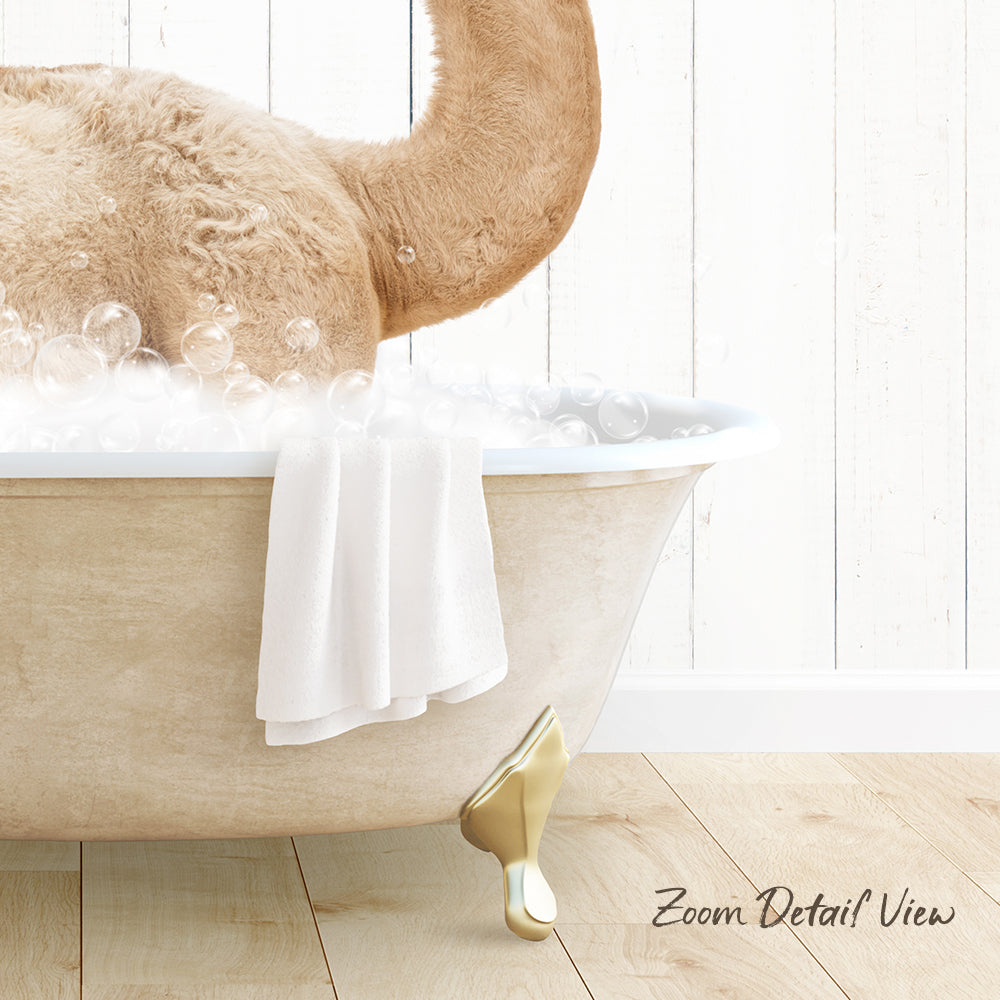 A cat sitting in a bathtub filled with bubbles, with a towel draped over the side and a wooden floor visible in the background.
