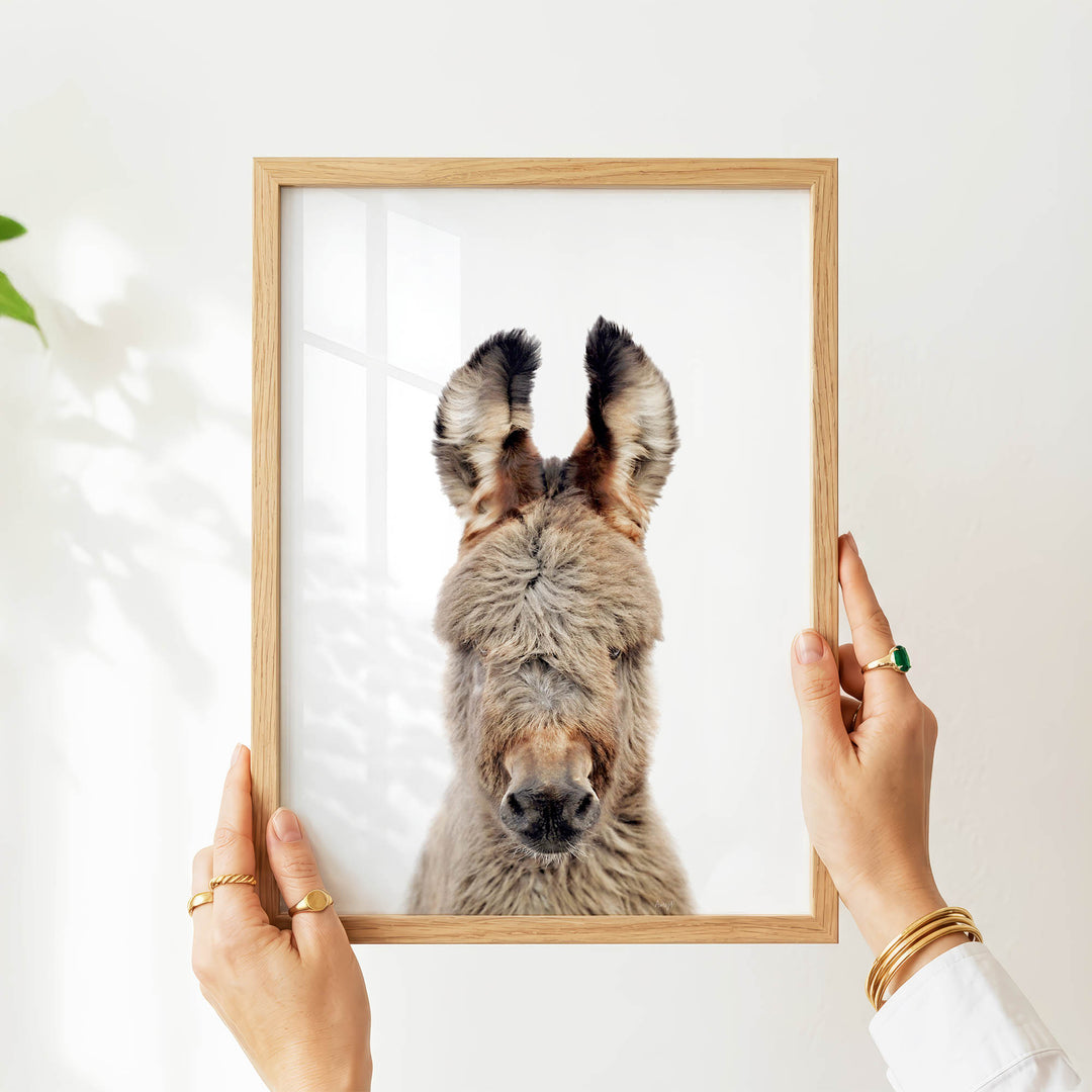 A person's hands are holding a wooden frame with a picture of a donkey inside it.