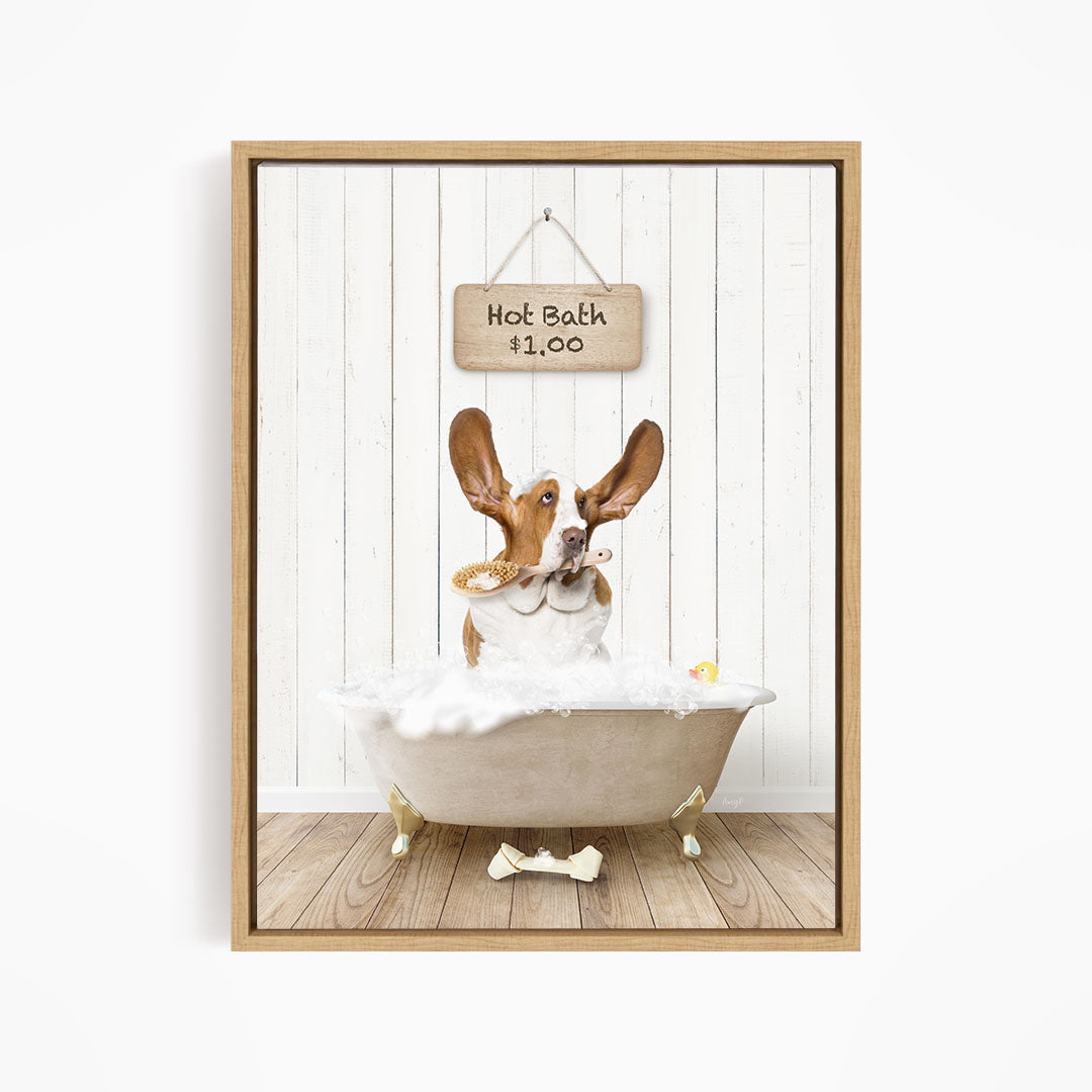 A brown and white dog sitting in a white bathtub, with a sign above the tub that reads "Hot Bath $1.00".