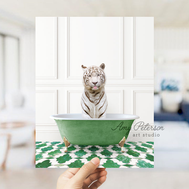 a white tiger sitting in a green bath tub