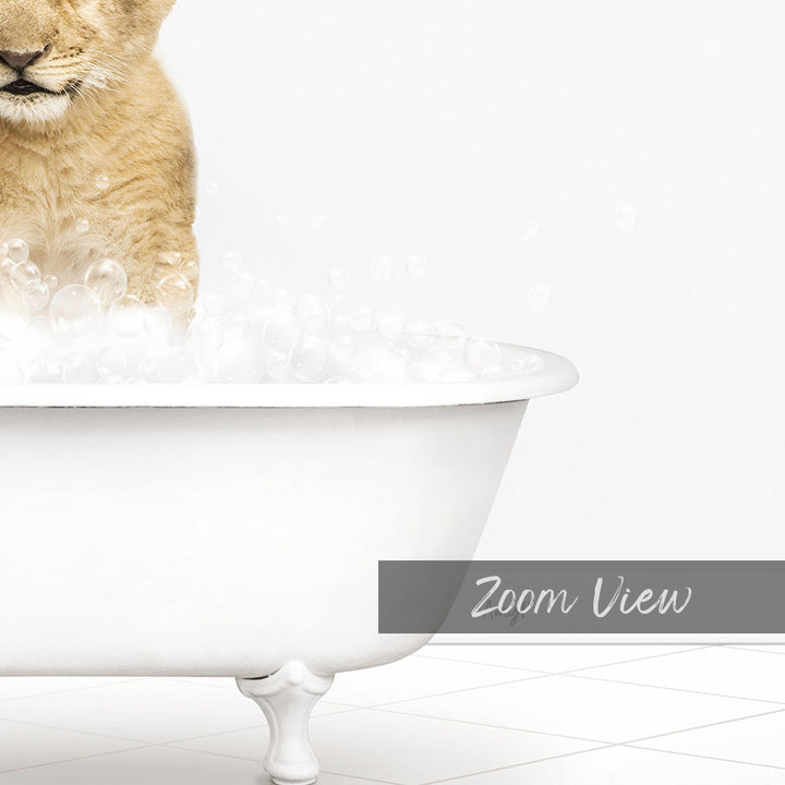 A small cat sitting in a white bathtub filled with bubbles, with the word "Zoom View" written below the image.