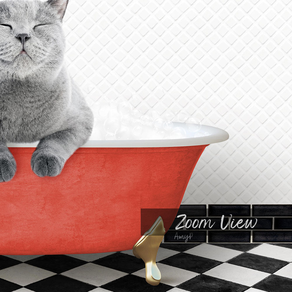 A gray cat sitting in a red bathtub filled with water, with a black and white checkered floor in the background.