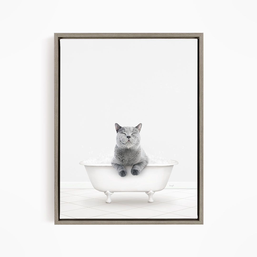 A gray cat sitting in a white bathtub, with its eyes closed and appearing relaxed.