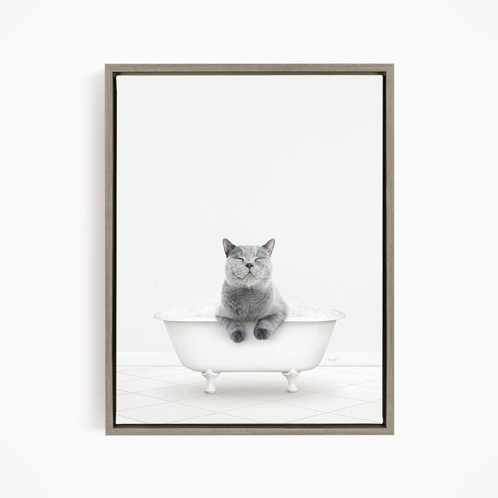 A gray cat sitting in a white bathtub, with its eyes closed and appearing relaxed.