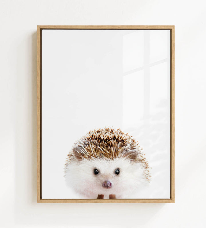 A framed photograph of a hedgehog peeking out from behind a white background.