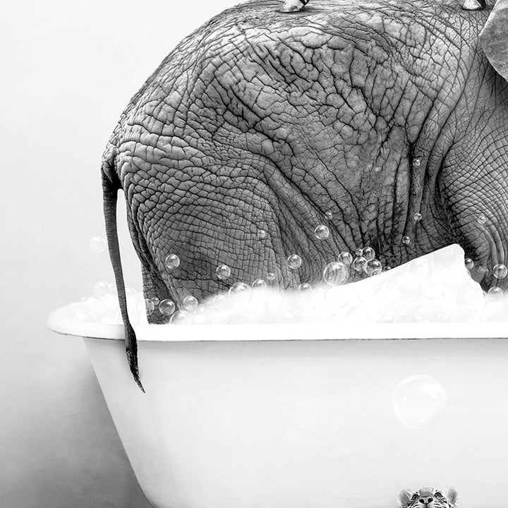 an elephant is taking a bath in a bathtub