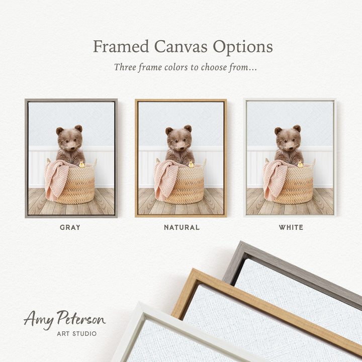 three framed canvas options, each featuring a teddy bear in a basket. The options include a gray frame, a natural frame, and a white frame. The text above the images reads " framed Canvas Options" and "Three frame colors to choose from...". The bottom of the image includes the text " Amy Peterson ART STUDIO".