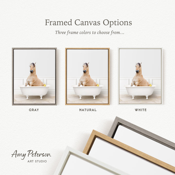 three framed canvas options, each featuring a photograph of a dog sitting in a bathtub. The options include a gray frame, a natural frame, and a white frame. The text above the images reads " framed Canvas Options" and "Three frame colors to choose from...". The bottom of the image includes the text " Amy Peterson ART STUDIO".