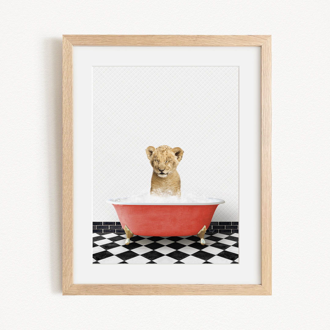 A young lion cub sitting in a red bathtub filled with water, surrounded by a black and white checkered floor.