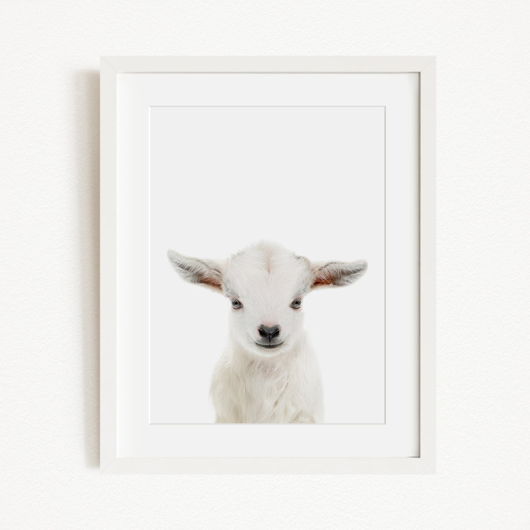 A white lamb with large ears is the focus of the image, which is a framed print.