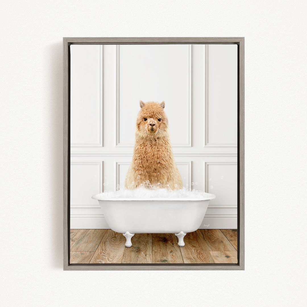 A fluffy alpaca sitting in a white bathtub filled with bubbles, looking directly at the camera.