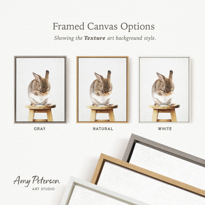 three framed canvas options, each featuring a picture of a rabbit sitting on a wooden stool. The options are labeled as "Grays," "Natural," and "White," representing different color backgrounds.