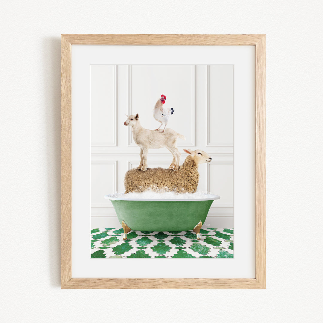 A framed image depicting a goat standing on top of a sheep in a green bathtub, with a rooster perched on the sheep's back.