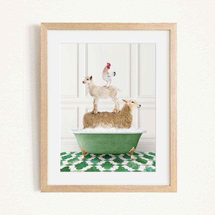 A framed image depicting a goat standing on top of a sheep in a green bathtub, with a rooster perched on the sheep's back.