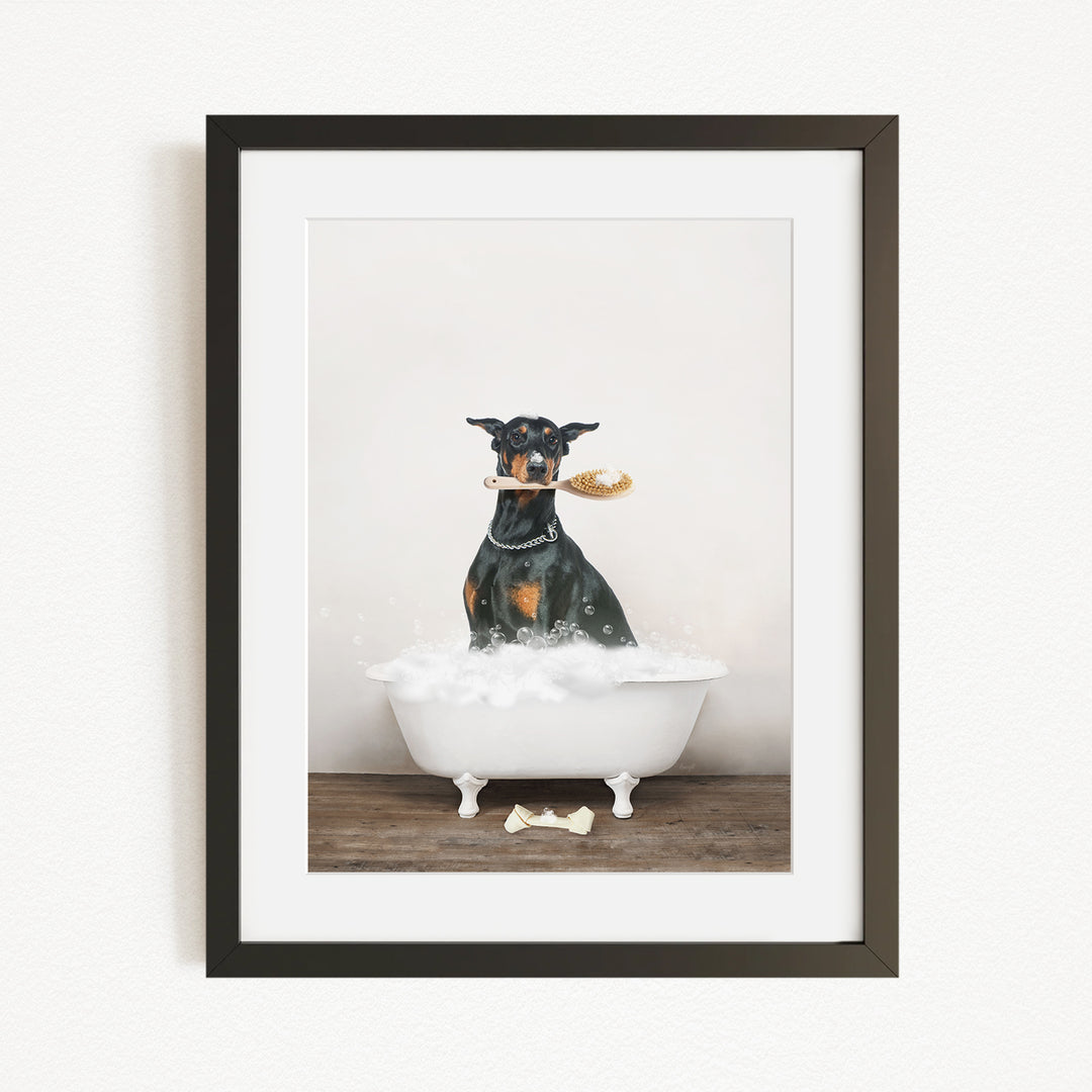 A black and brown dog is sitting in a white bathtub filled with bubbles, holding a toy in its mouth.