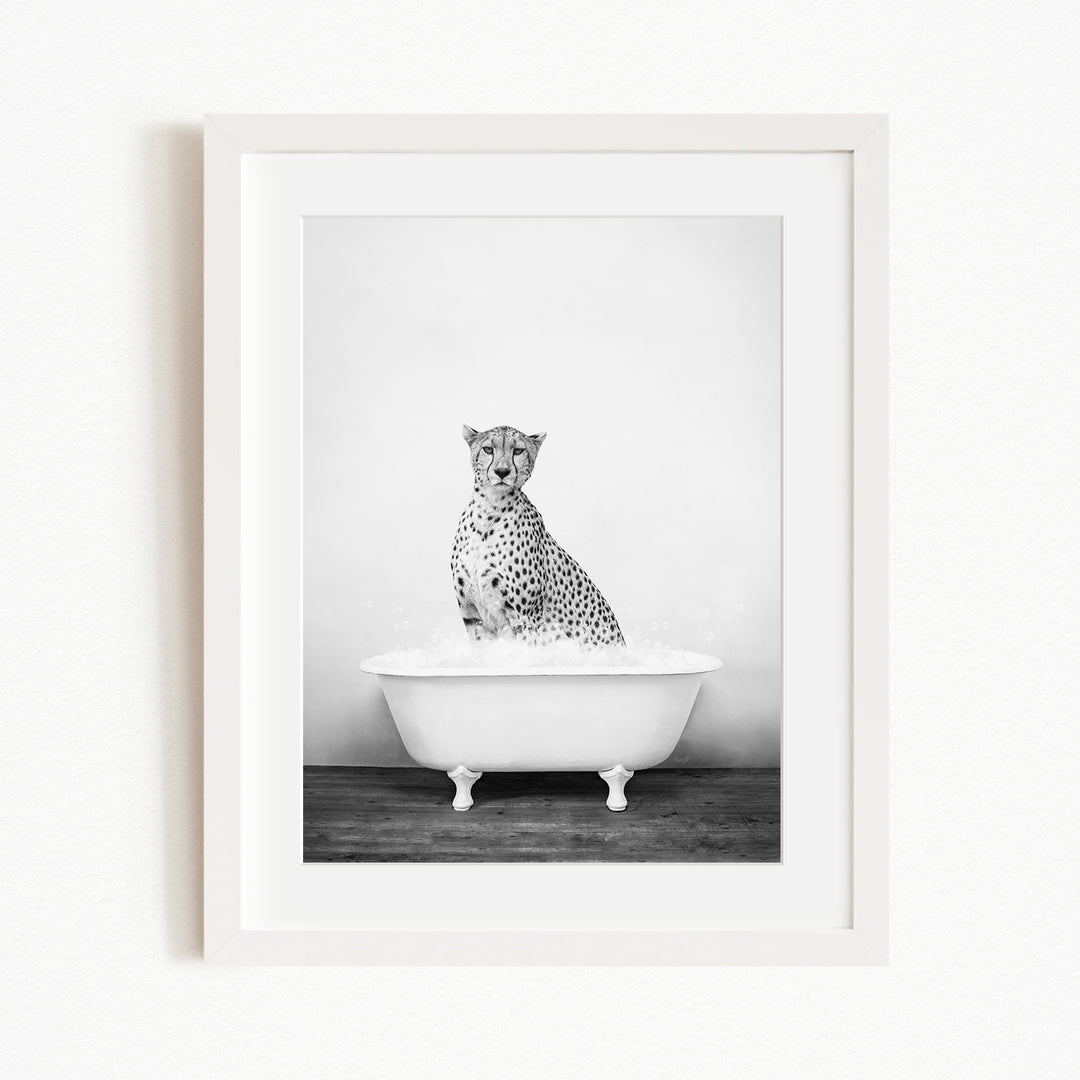 A cheetah sitting in a white bathtub filled with water, creating a striking and unusual scene.