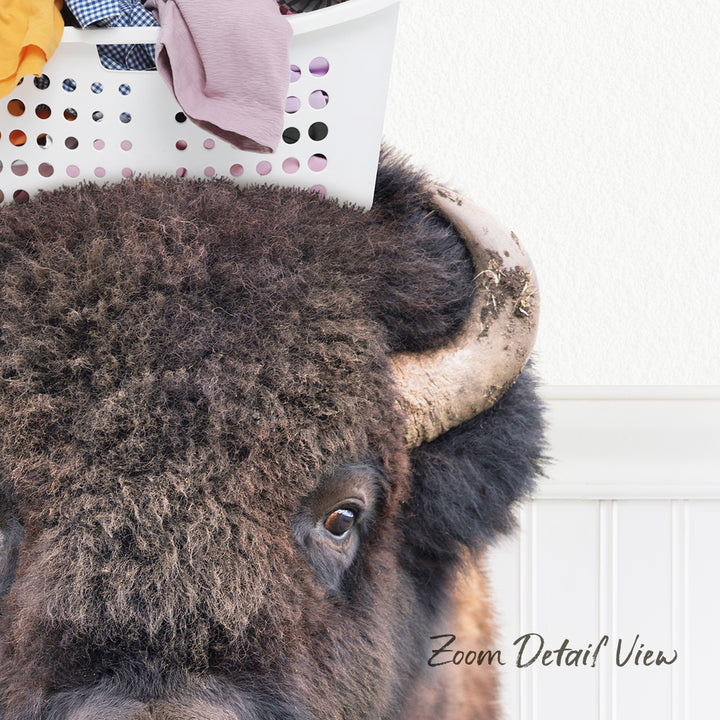 A close-up of a bison's head, with a laundry basket on top of it, against a white wall.