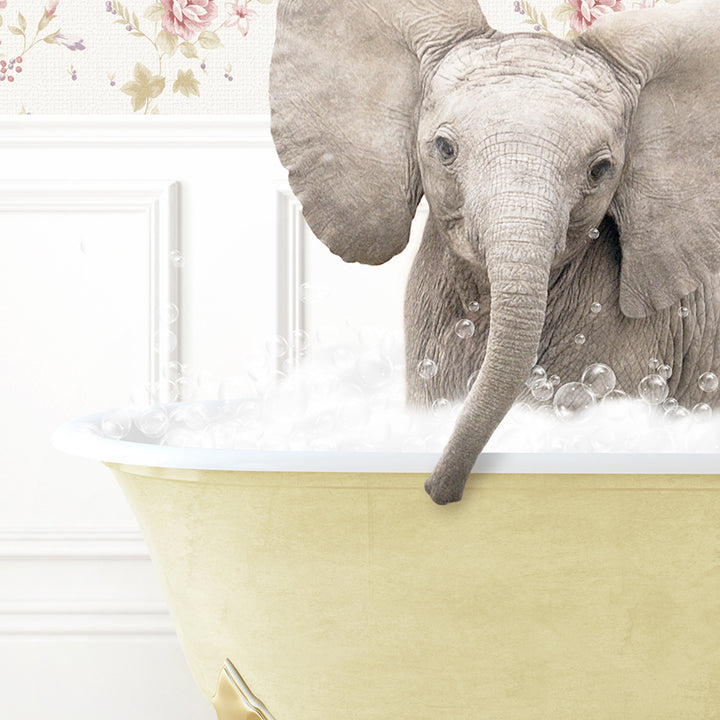 a baby elephant standing in a bathtub full of bubbles