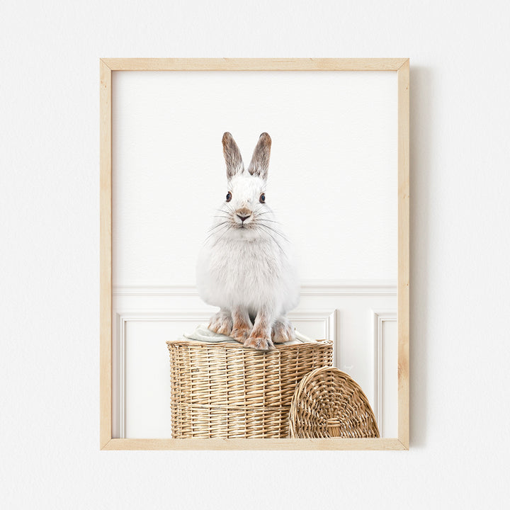 a white rabbit sitting on top of a basket