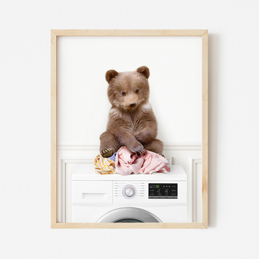 a brown bear sitting on top of a washing machine