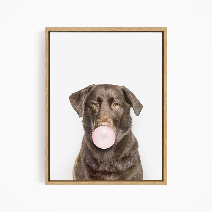 A brown dog is blowing a bubble with a pink bubble gum bubble.