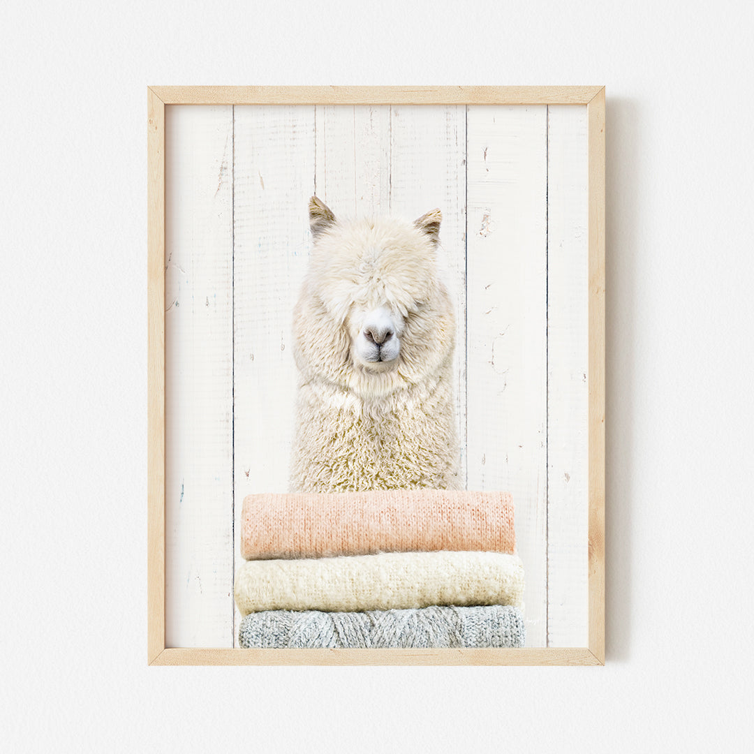 a picture of a llama hanging on a wall