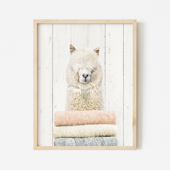 a picture of a llama hanging on a wall