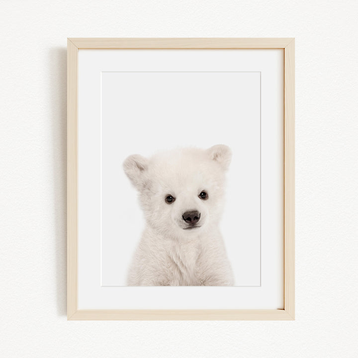 A cute white polar bear cub is the focus of the framed image, which is hung on a white wall.