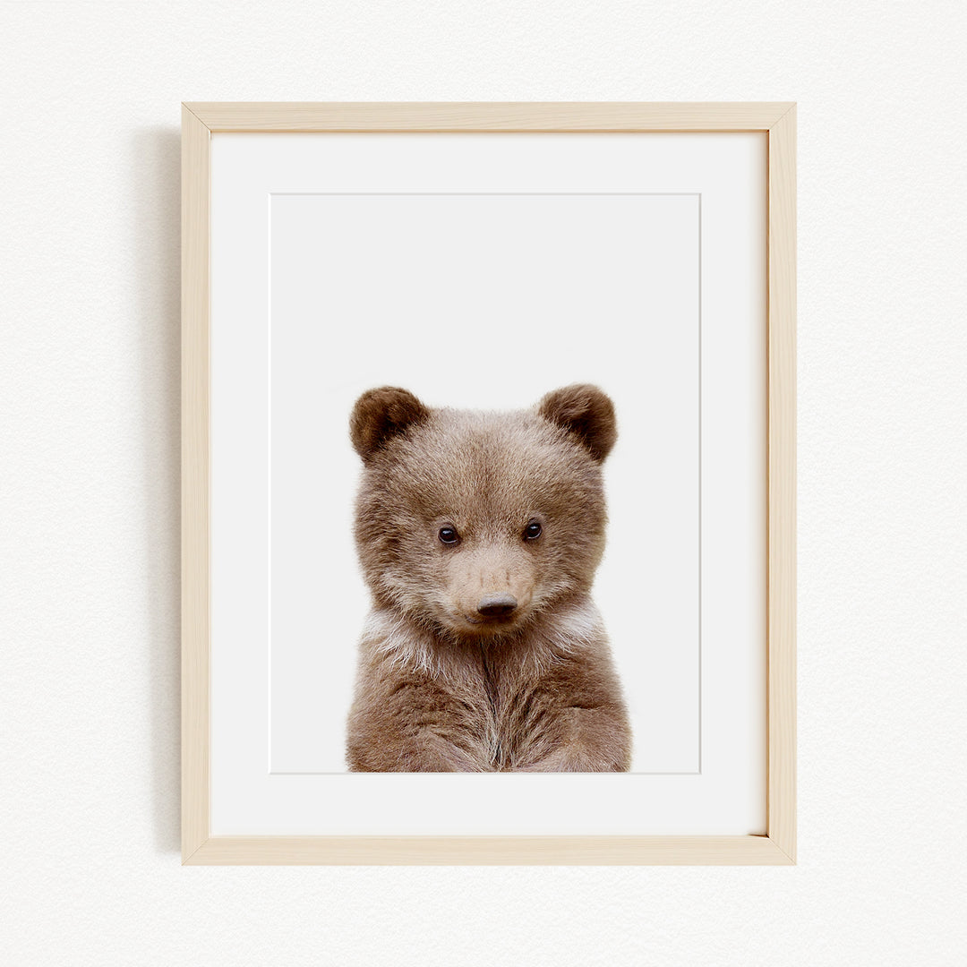 A framed photograph of a cute brown bear cub looking directly at the camera.