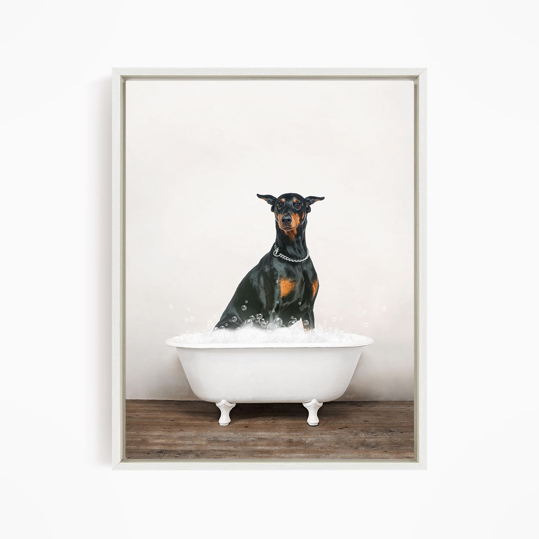 A black and tan dog sitting in a white bathtub filled with water, looking directly at the camera.