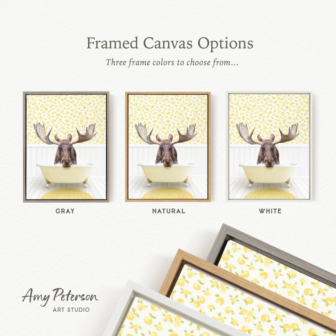 The image is a framed canvas option featuring three different framed pictures of a moose sitting in a bathtub, each with a different frame color: gray, natural, and white.