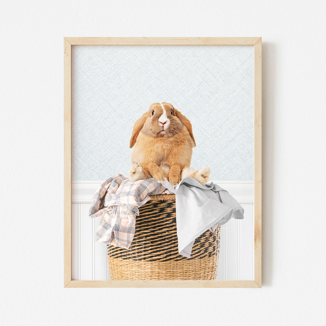 a picture of a rabbit sitting on top of a basket