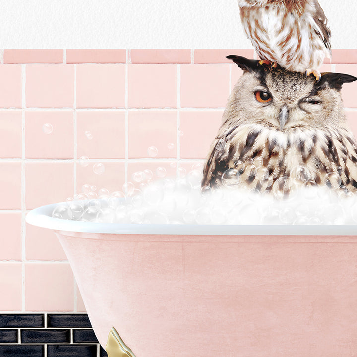 an owl sitting on top of a bathtub filled with bubbles