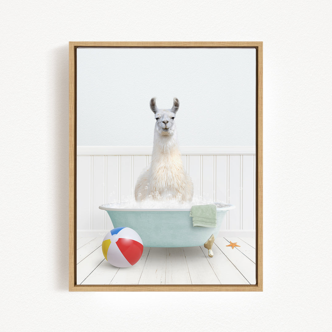 A white llama sitting in a bathtub filled with bubbles, surrounded by a beach ball and a towel.