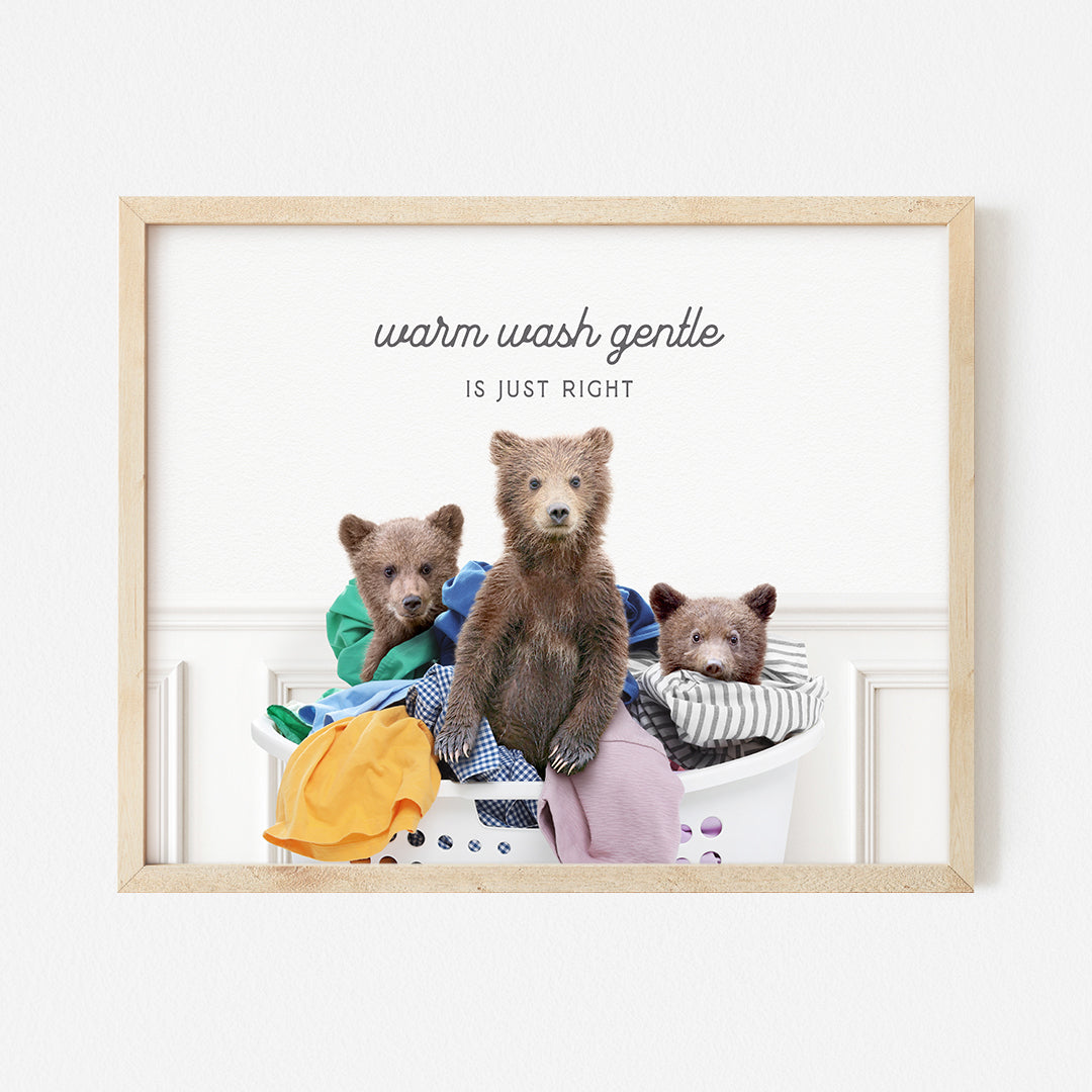 a picture of three bears sitting in a laundry basket