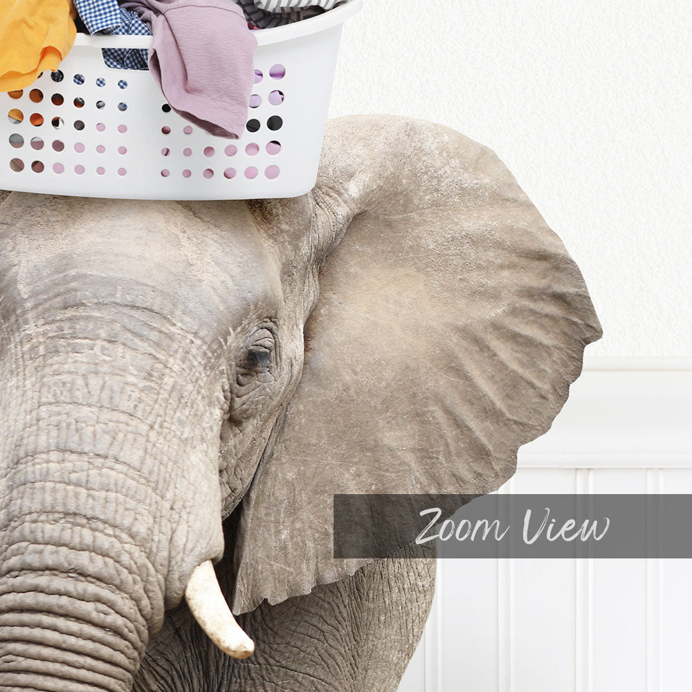 An elephant carrying a laundry basket on its head, with the text "Zoom View" below the image.