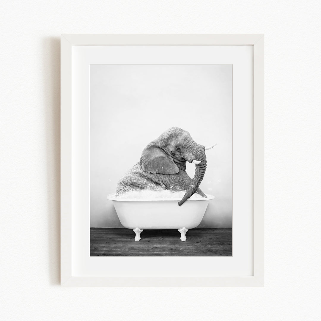 A black and white photograph of an elephant sitting in a bathtub, with its trunk curled up and its head resting on its body.