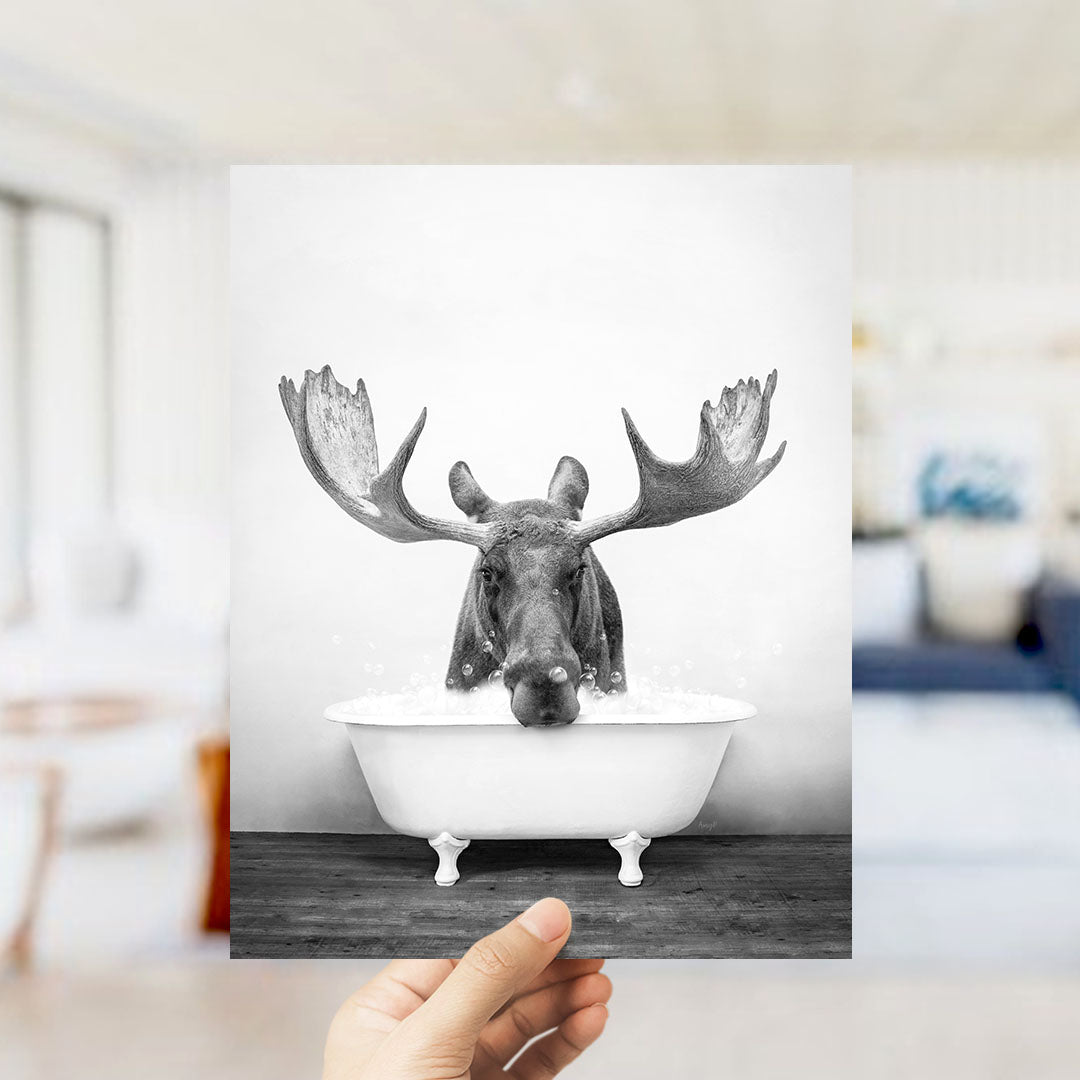 A black and white photograph of a moose with large antlers sitting in a bathtub filled with water.